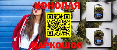 винт Гатчина