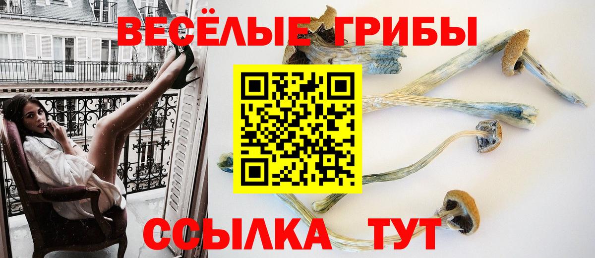 Псилоцибиновые грибы GOLDEN TEACHER  Вход с VPN  Орёл  Галлюциногенные грибы Psilocybe 